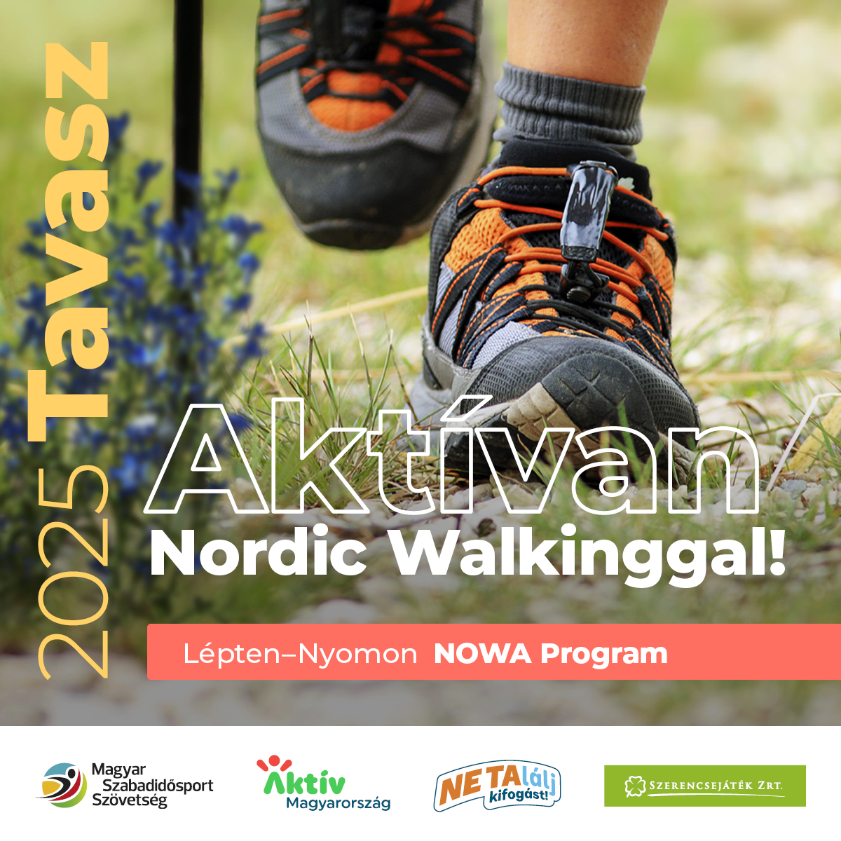Aktívan a Nordic Walkinggal