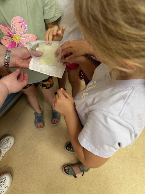 Nyári táborozók a Skill laborban